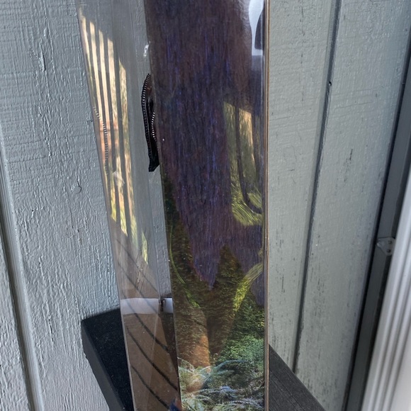 Bella Doll the Twilight Saga Breaking Dawn Part 2 Barbie Collector Pink Label - Picture 5 of 9